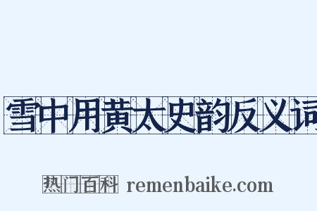 雪中用黄太史韵反义词是什么意思的图片